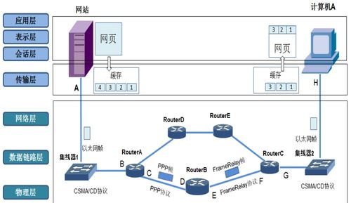 深入理解計(jì)算機(jī)網(wǎng)絡(luò)體系結(jié)構(gòu) TCP/IP協(xié)議與計(jì)算機(jī)系統(tǒng)服務(wù)