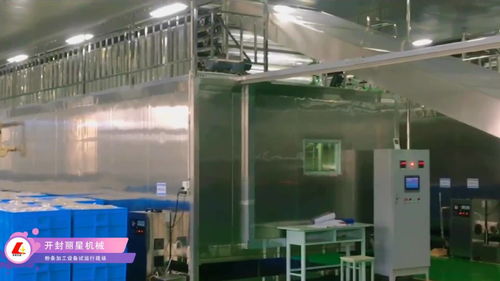 薯類(lèi)淀粉深加工成套設(shè)備生產(chǎn)廠(chǎng)家,自動(dòng)化紅薯粉條粉絲生產(chǎn)線(xiàn)有日產(chǎn)2.5 12噸的型號(hào)